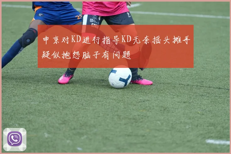 申京对KD进行指导KD无奈摇头摊手疑似抱怨脑子有问题